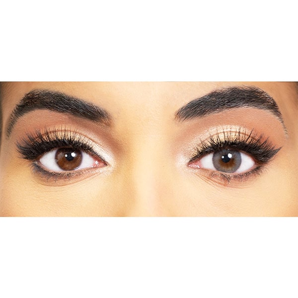 gray colored lenses obsession paris