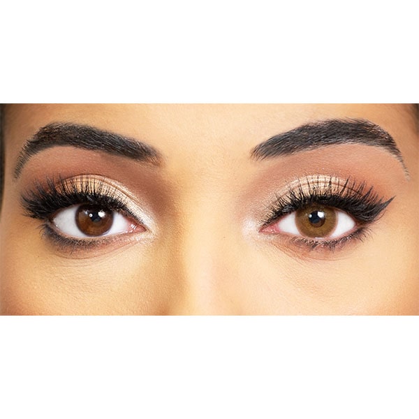 brown lentils obsession paris