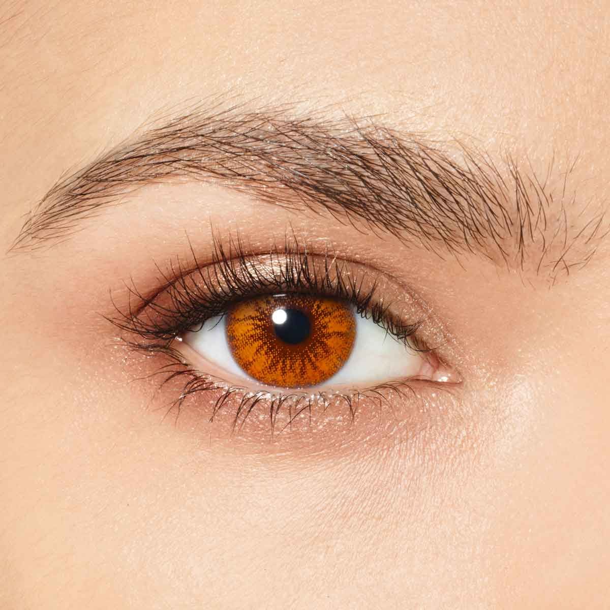 Desio Coffee Espresso lentils