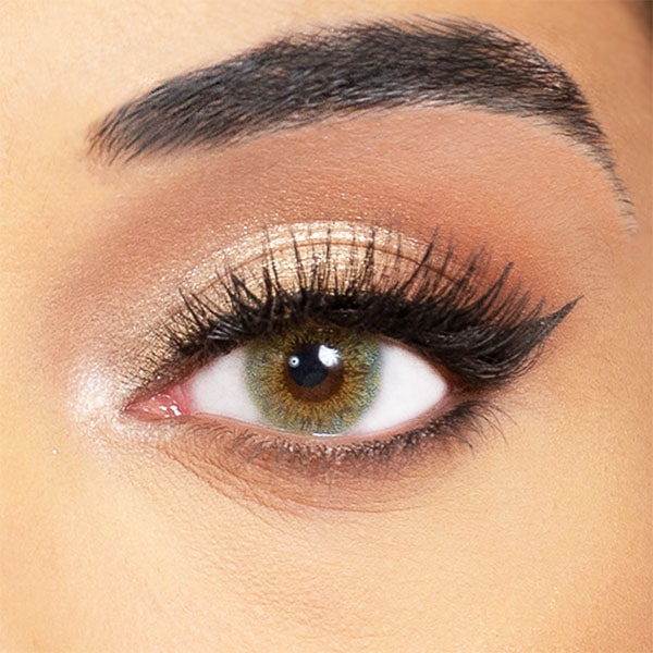 green lentils obsession paris