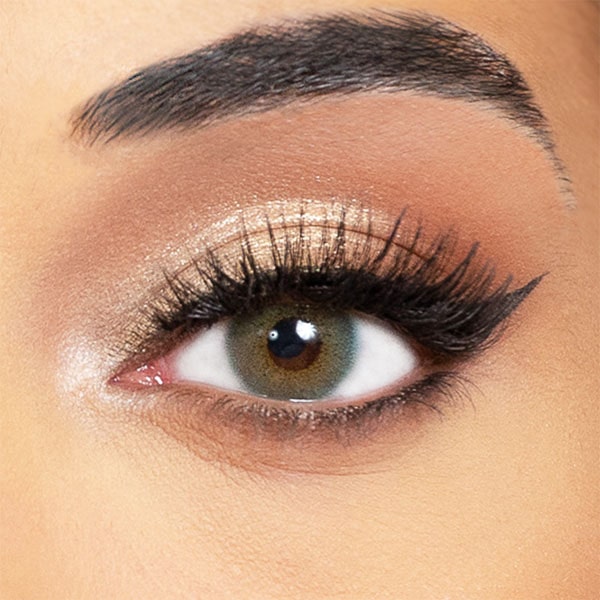 green lentils obsession paris