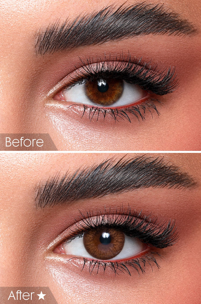 lentilles de couleur marron