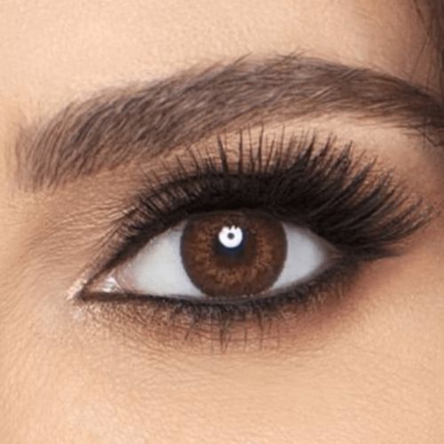 lentilles de couleur marron