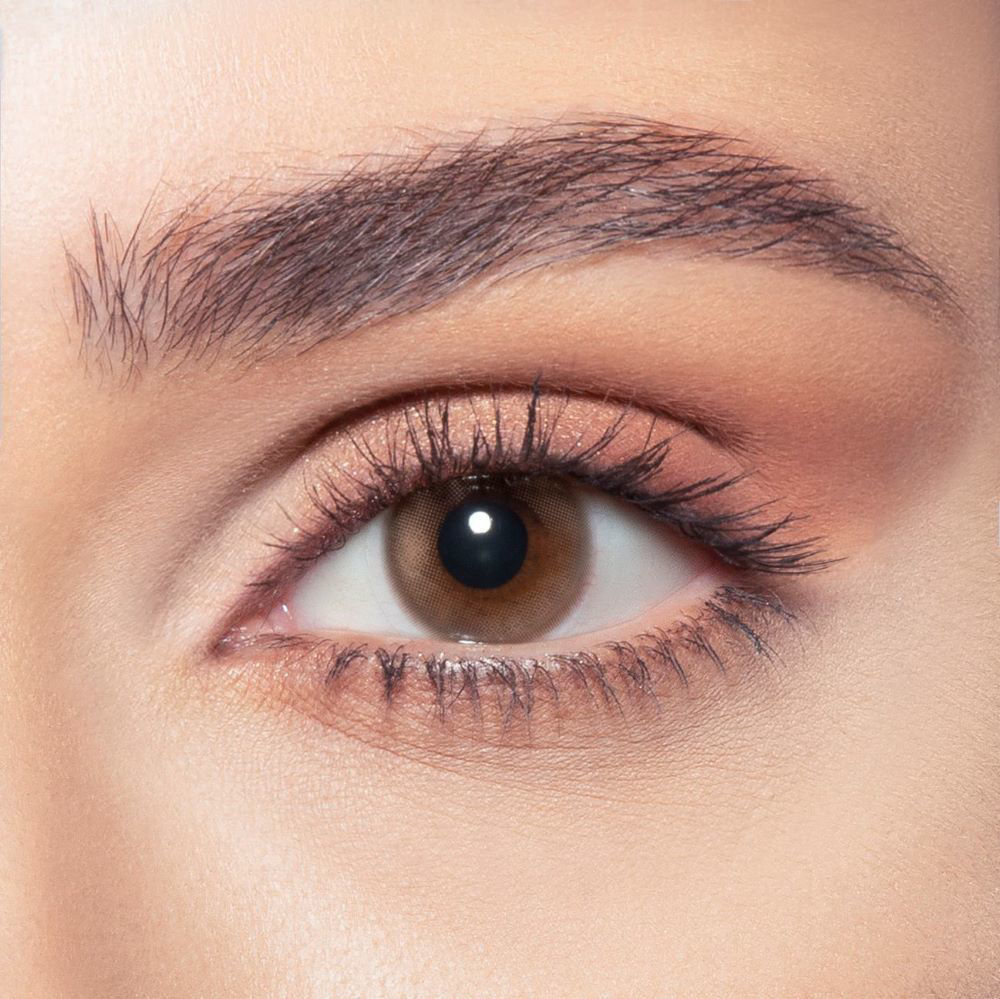 brown colored lenses