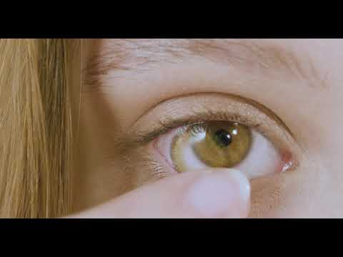 lentilles bitone honey