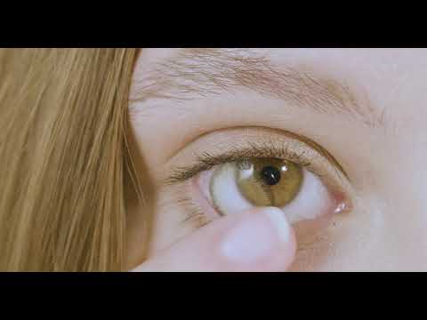 lentilles bitone yellow