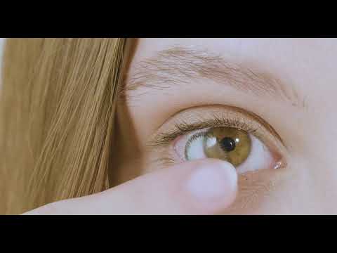 lentilles bitone bi green