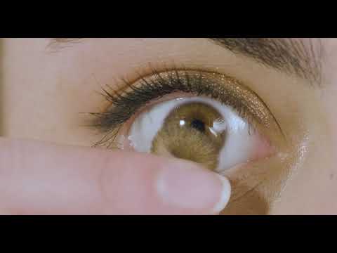 lentilles pearl hazel