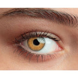 brown multifocal lenses