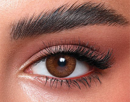 Bella Elite Cinnamon Brown Lentilles de contact