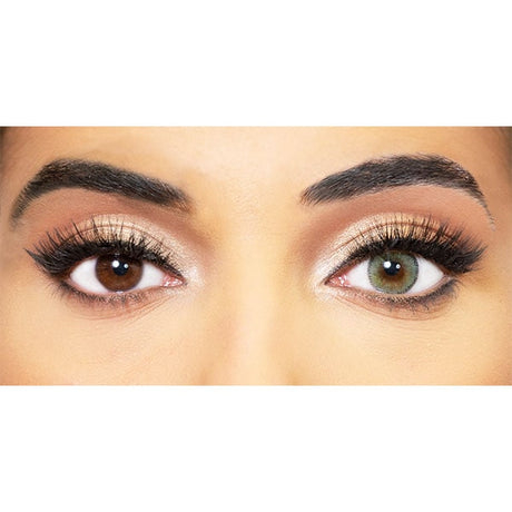 Olive Obsession Paris lentils