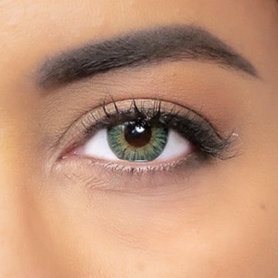 lentilles de couleur verte