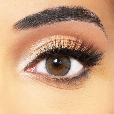 gray lenses obsession paris