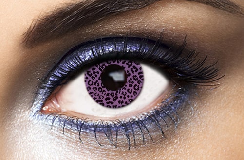 lentilles halloween violette