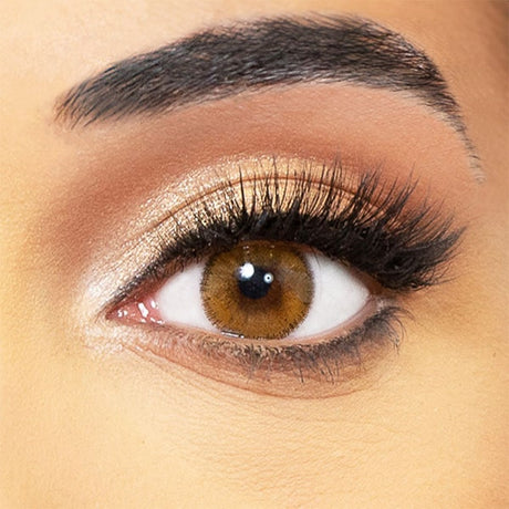 honey lentils obsession paris