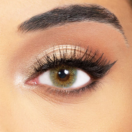 green lentils obsession paris