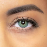 lentilles de couleur verte