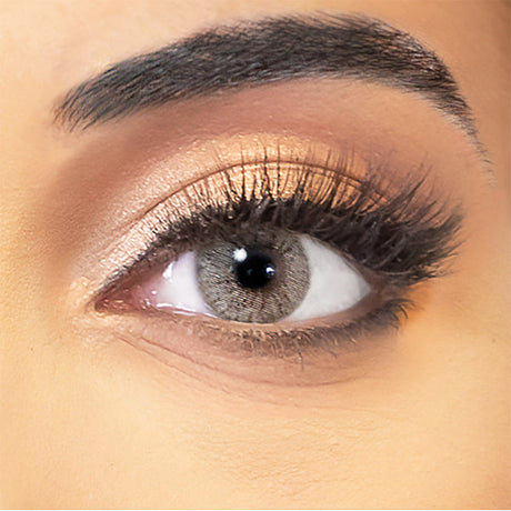 gray colored lenses obsession paris